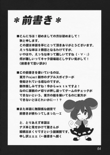 (Reitaisai 7) [Akikaze Asparagus (Aki)] Hanamizuki (Touhou Project) - page 4