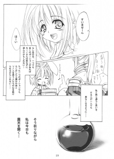 (C69) [SION (Hotori)] ASSUMPTIO (Ragnarok Online) - page 22