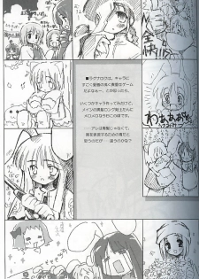 (C62) [Renrendou (Gayarou)] Escaper! (Ragnarok Online) - page 12