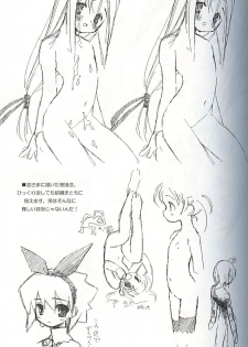 (C62) [Renrendou (Gayarou)] Escaper! (Ragnarok Online) - page 20
