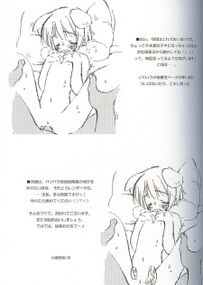 (C62) [Renrendou (Gayarou)] Escaper! (Ragnarok Online) - page 28