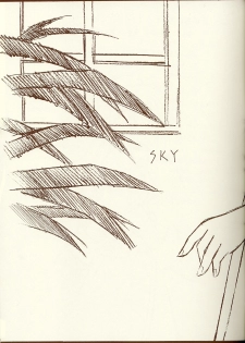 (C62) [BLUE GARNET (Serizawa Katsumi)] BLUE GARNET XIV SKY (SKYGUNNER) - page 4