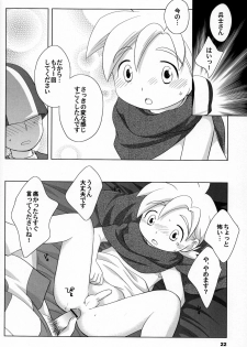 (Shotaket 10) [Tokuda (Ueda Yuu)] Hoshifuru Seisui (Dragon Quest V) - page 22