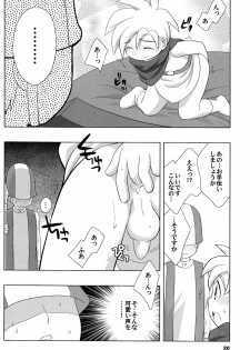 (Shotaket 10) [Tokuda (Ueda Yuu)] Hoshifuru Seisui (Dragon Quest V) - page 20