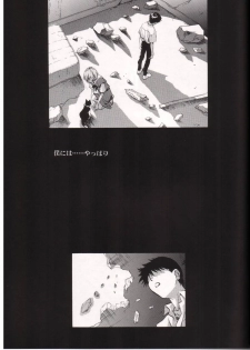 [Henrei-kai (Kawarajima Kou)] AYANAMI SUMMIT (Neon Genesis Evangelion) - page 30