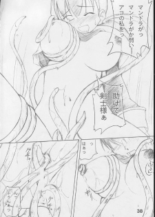 [S-FORCE (Raina, Ryouta, Serebi Ryousangata)] Daiseiten (Ragnarok Online) - page 37