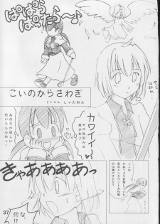 [S-FORCE (Raina, Ryouta, Serebi Ryousangata)] Daiseiten (Ragnarok Online) - page 36