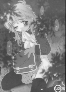 [S-FORCE (Raina, Ryouta, Serebi Ryousangata)] Daiseiten (Ragnarok Online) - page 15