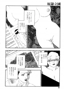 [Kaimeiji Yuu] Dorei Rikkoku - page 30