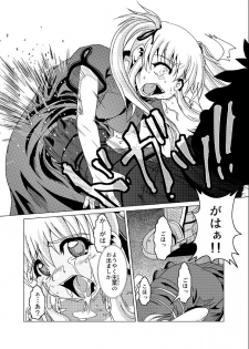 (C69) [Fusa Ryoiki (Nanami Shizuka)] Zougekaigan Fuyugeshiki (Mabinogi) - page 4