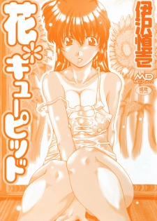 [Izawa Shinichi] Hana*Cupid - page 2