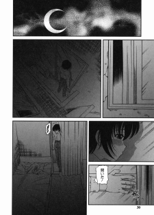 [Shion] Etsuraku no Misshitsu - page 29