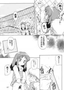(C65) [Laurier (Kurosaki Mairi)] anman - page 34