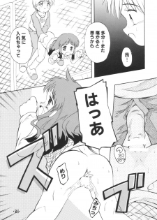 (C65) [Laurier (Kurosaki Mairi)] anman - page 30