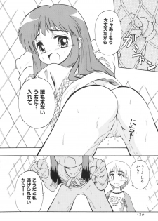 (C65) [Laurier (Kurosaki Mairi)] anman - page 29