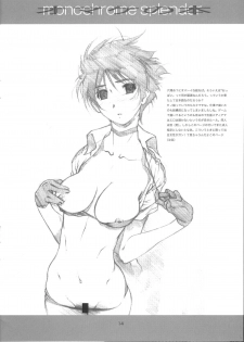 (C65) [STUDIO N.BALL (Haritama Hiroki)] monochrome splendor Omake no Hon - page 14