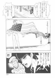 [Yamaguchi Masakazu] Shake Hip Vol.3 - page 29