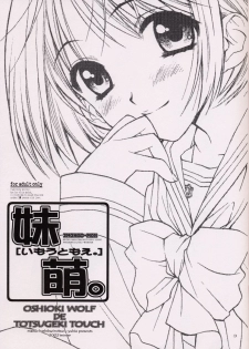 (C63) [TOTSUGEKI WOLF (Yuuki Mitsuru)] IMOUTO-MOE - page 2