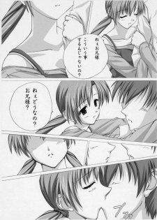 (C66) [DOUWA-KENSETSU (Nomura Teruya)] B.C. Brother Complex (Sister Princess) - page 10