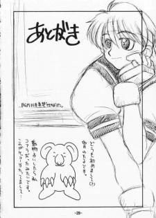 [Sune Guillotine (Kisaragi Wataru)] St ZERO SAKURA Rentai Sekinin (Street Fighter) - page 28