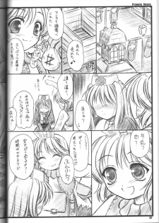 (C65) [Yakan Hikou (Inoue Tommy)] PRIMULA Rosea (Ragnarok Online) - page 31