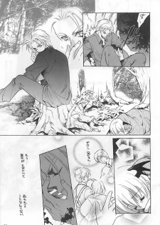 [Hanzai Tengoku (Hasei Agana)] Shinshoku (Darkstalkers) - page 34