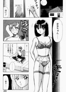 [Still88] Hare Tokidoki H - page 30