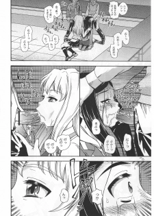 (CR37) [Kensoh Ogawa (Fukudahda, mizu)] Amai Himegoto Nikaime (Mai-HiME) - page 9