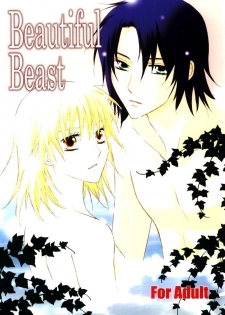 [Berry & Precious] Beautiful Beast (Gundam SEED DESTINY) - page 1