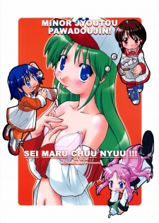 [MIZUIROLIME] SEI-MARU-CHUU-NYUU!!! (Jikkyou Pawapuro Yakyuu) - page 34