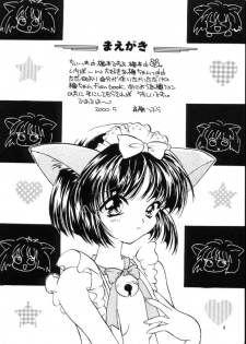 [HACHIMITSU-PIE (Saitou Tsubura)] Kaede no Hon (Kizuato) - page 3