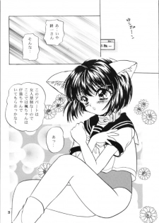 [HACHIMITSU-PIE (Saitou Tsubura)] Kaede no Hon (Kizuato) - page 28