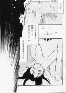 (C51) [Nihon Waru Waru Doumei (Arima Keitarou)] LIE -Uso- - page 17