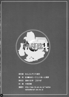 (C67) [Wanton Land Kumiai (Buchiko, Komame)] Kami Kourin!! (Tsukiyomi Moon Phase) - page 25