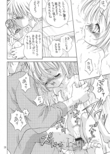 (C61) [Ikaruganomiya (Umayadono Ohji)] Kinshin Soukan Kinki 3 (Sister Princess) - page 17