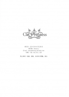(COMIC1☆4) [Bakuhatsu BRS. (B.Tarou)] Cat Princess (Final Fantasy Gaiden) - page 28