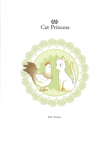 (COMIC1☆4) [Bakuhatsu BRS. (B.Tarou)] Cat Princess (Final Fantasy Gaiden) - page 30