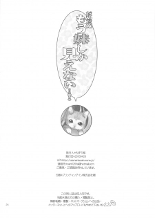 (COMIC1☆4) [CASMANIA (Mozuya Murasaki)] Dameda Ore Mou Imouto Shika Mienai...! (Dragon Quest VI) - page 26