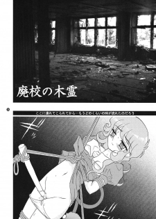 [FLASHBACK & Nippon Gyouretsu Shinkoukai] CHARA EMU CHARACTER EMULATION Series 1 MAGICALGIRLS (Mahou Shoujo Series) - page 13