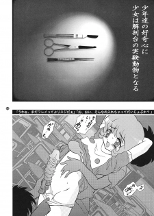 [FLASHBACK & Nippon Gyouretsu Shinkoukai] CHARA EMU CHARACTER EMULATION Series 1 MAGICALGIRLS (Mahou Shoujo Series) - page 5