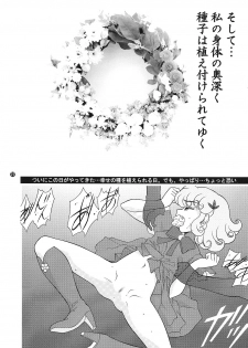 [FLASHBACK & Nippon Gyouretsu Shinkoukai] CHARA EMU CHARACTER EMULATION Series 1 MAGICALGIRLS (Mahou Shoujo Series) - page 21