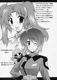 (Kyonyuukko 3) [Leaz Koubou (Oujano Kaze)] Uchuu o Kakeru Lucky Sukebe (Mobile Suit Gundam SEED DESTINY) - page 4