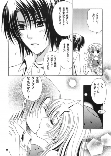 [Alyder] A*M date (Gundam SEED DESTINY) - page 19