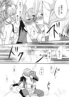[ITALIAN RIX] Rasberry Dream (Gundam SEED) - page 20