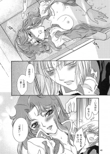 [ITALIAN RIX] Rasberry Dream (Gundam SEED) - page 39