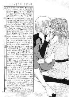[ITALIAN RIX] Rasberry Dream (Gundam SEED) - page 3