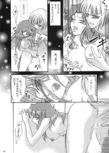 [ITALIAN RIX] Rasberry Dream (Gundam SEED) - page 43