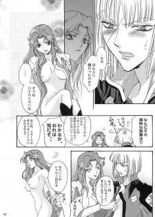 [ITALIAN RIX] Rasberry Dream (Gundam SEED) - page 41