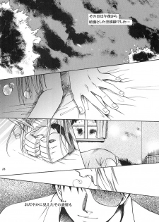 [REONGUMI] NO MORE Renai Gokko. (Fullmetal Alchemist) - page 25