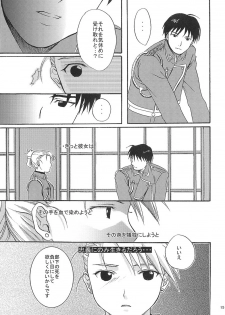 [REONGUMI] Doko ka Hukai Tokoro (Fullmetal Alchemist) - page 14